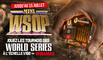 Mini wsop