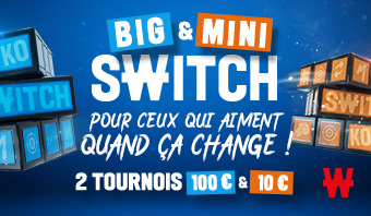 Big & Mini Switch