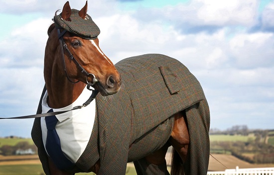 cheval_costume