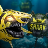 Top Shark Vignette