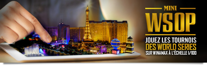 MiniWSOP