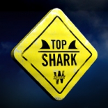 Top Shark Academy Vignette