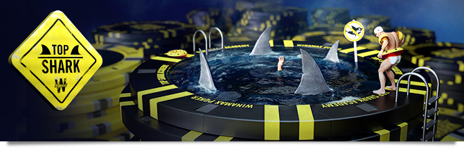 Top Shark Bandeau