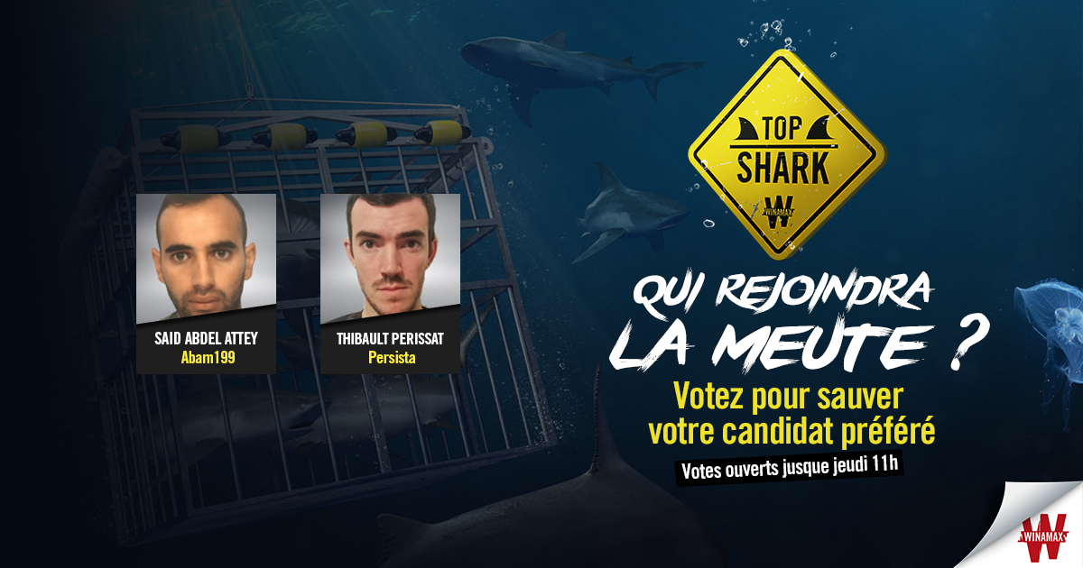 Le vote