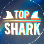 Top Shark news