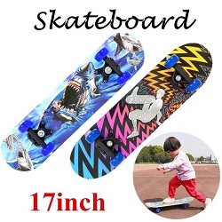 Skate 17