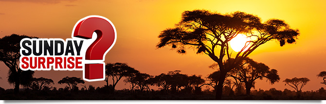 Sunday Surprise Senegal