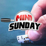 vignette mini sunday