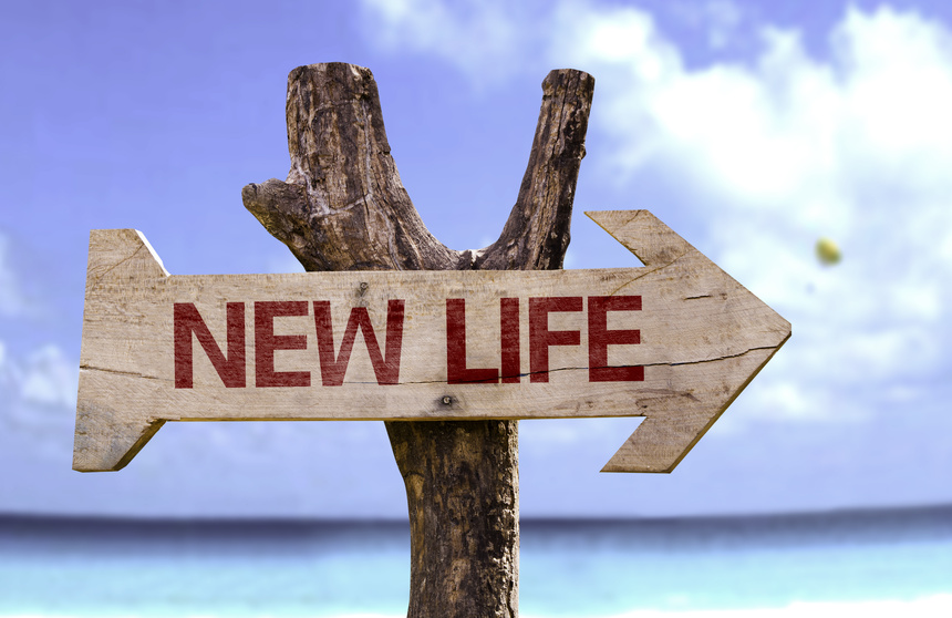 Nouvelle_VIE