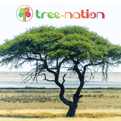 Plantez 5 arbres pour sauver la planète ! (Don de 15 euros)